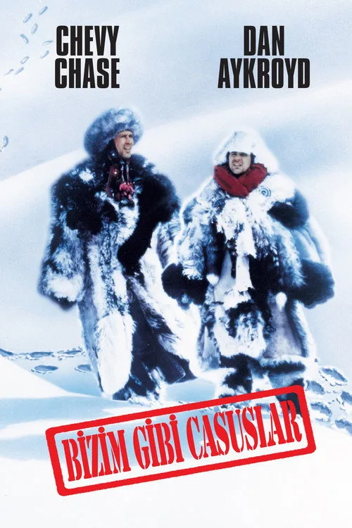 Bizim Gibi Casuslar film posteri