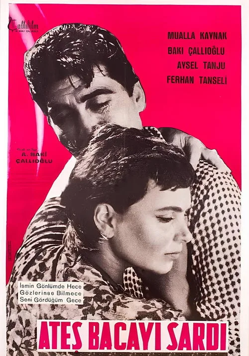 Ateş Bacayı Sardı film posteri