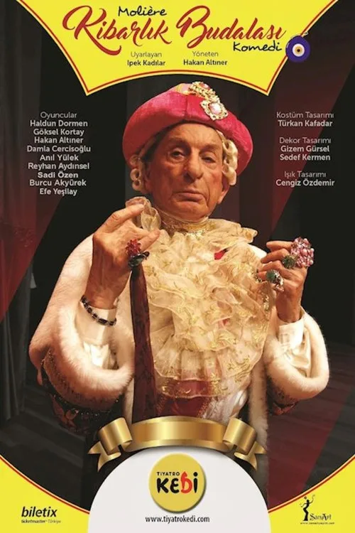 Kibarlık Budalası film posteri
