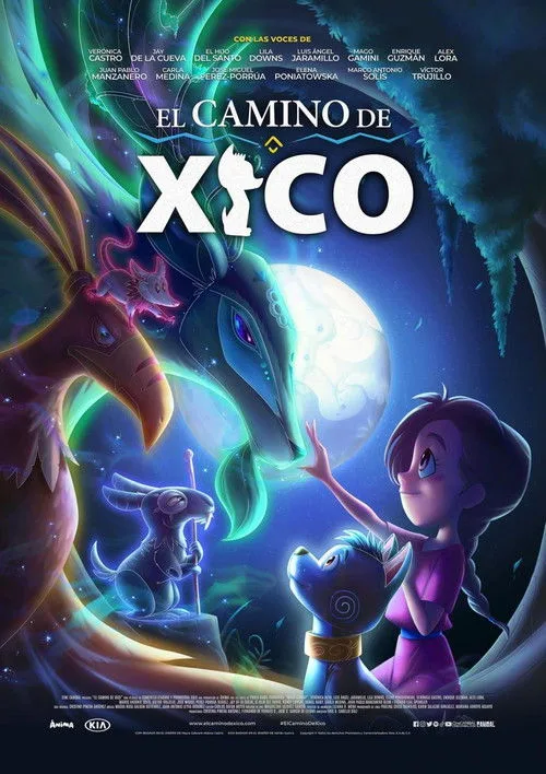 Tüysüz'ün Yolculuğu film posteri