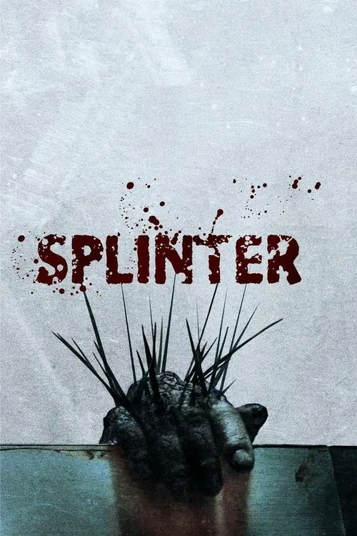 Kıymık film posteri