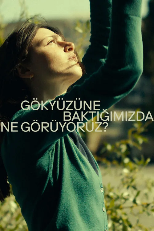 Gökyüzüne Baktığımızda Ne Görüyoruz? film posteri