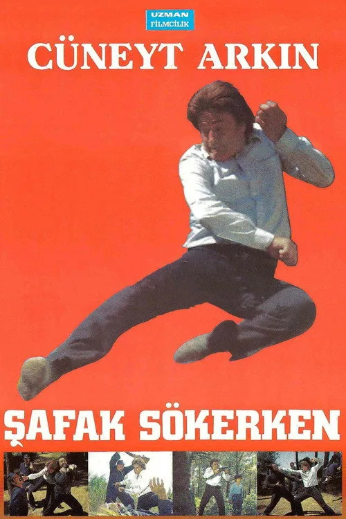 Şafak Sökerken film posteri