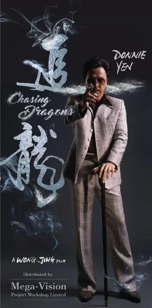 Ejderhayı Kovalamak film posteri