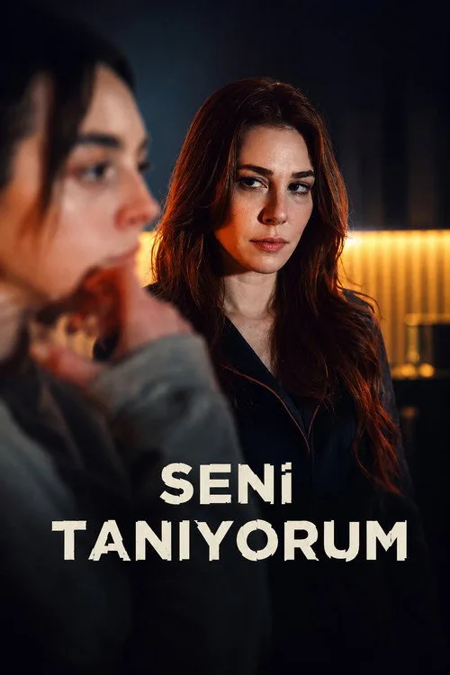 Seni Tanıyorum dizi posteri