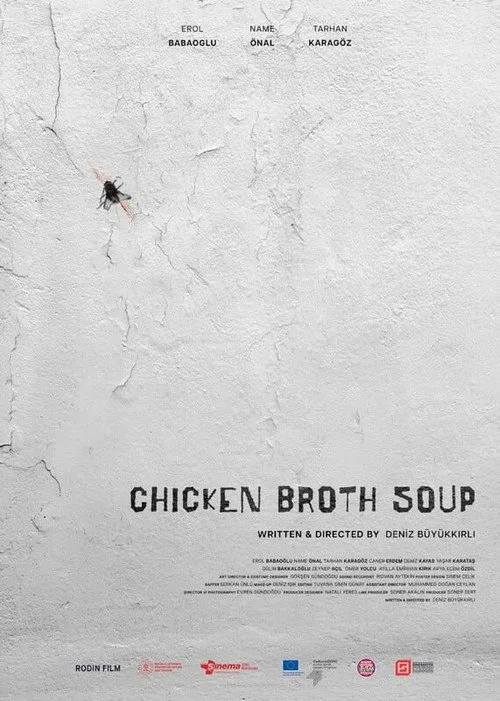 Tavuk Suyuna Çorba film posteri