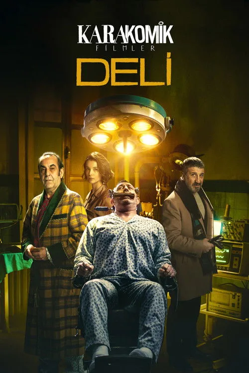 Karakomik Filmler 2: Deli film posteri