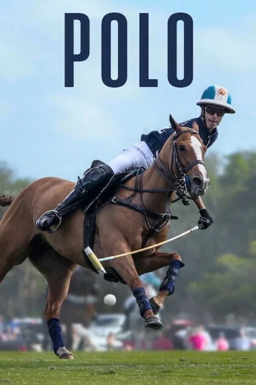 Polo dizi posteri