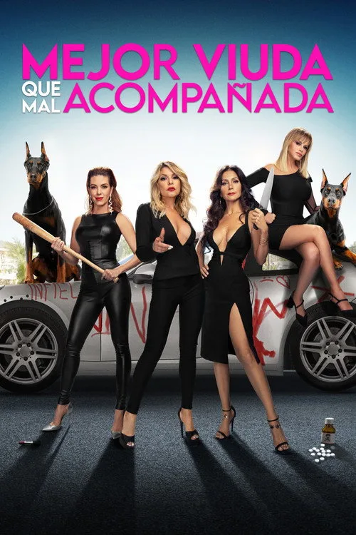 Mejor viuda que mal acompañada film posteri