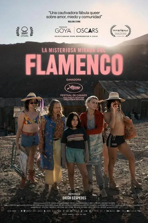 Flamingonun Gizemli Bakışı film posteri