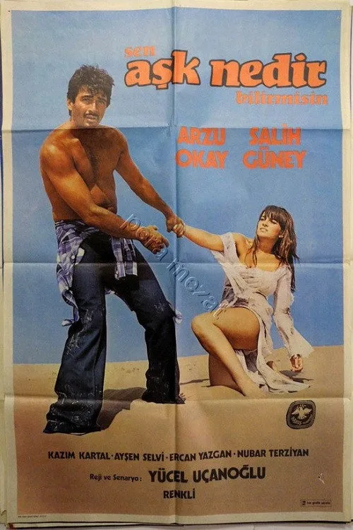 Sen Aşk Nedir Bilir Misin film posteri
