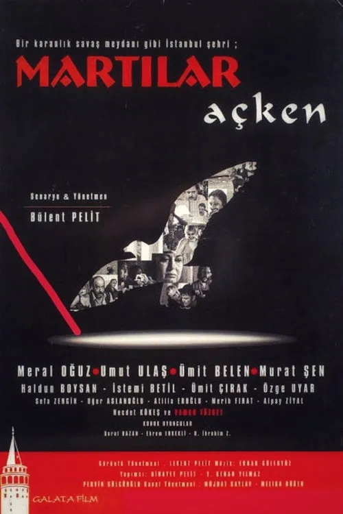 Martılar Açken film posteri