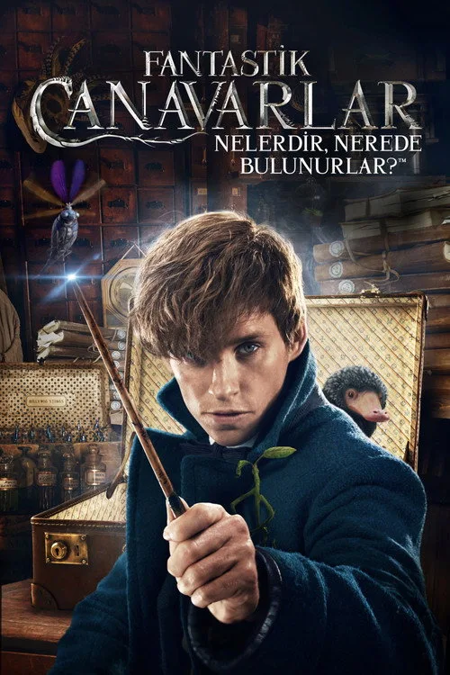 Fantastik Canavarlar Nelerdir, Nerede Bulunurlar? film posteri