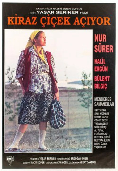 Kiraz Çiçek Açıyor film posteri