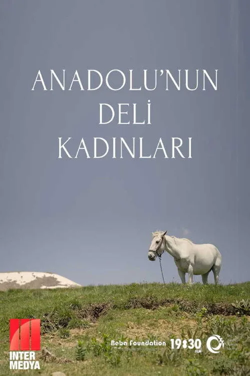 Anadolu'nun Deli Kadınları film posteri