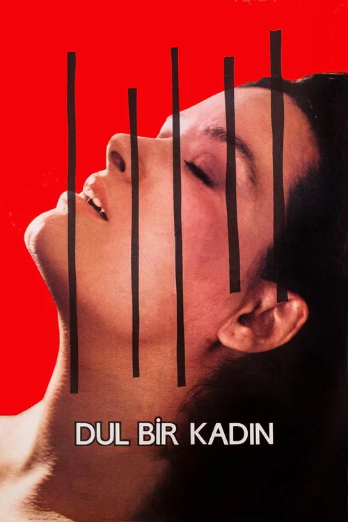 Dul Bir Kadın film posteri