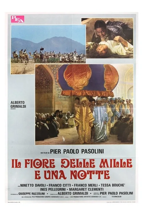 Il fiore delle Mille e una notte film posteri