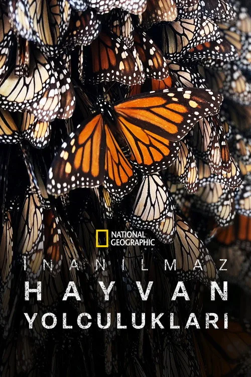 İnanılmaz Hayvan Yolculukları dizi posteri