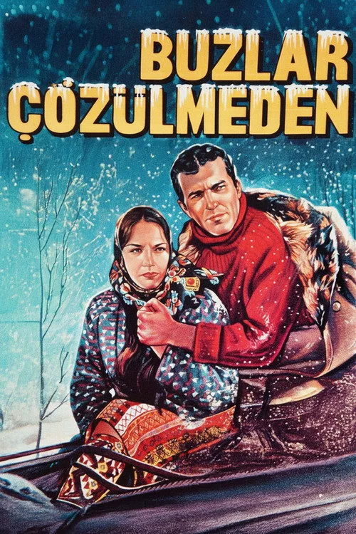 Buzlar Çözülmeden film posteri