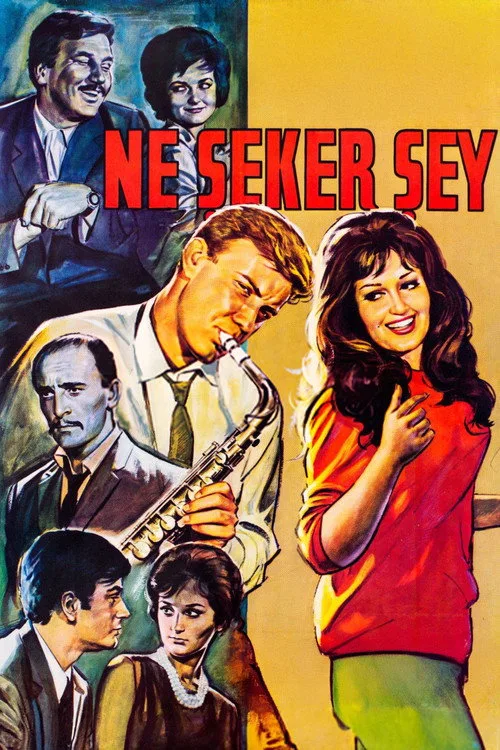 Ne Şeker Şey film posteri