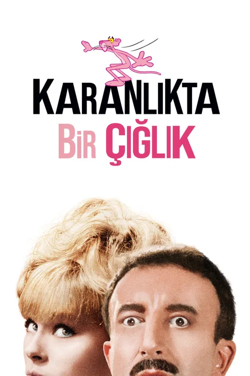 Karanlıkta Bir Çığlık film posteri