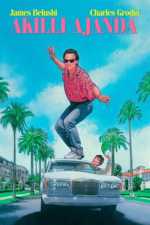 Akıllı Ajanda film posteri