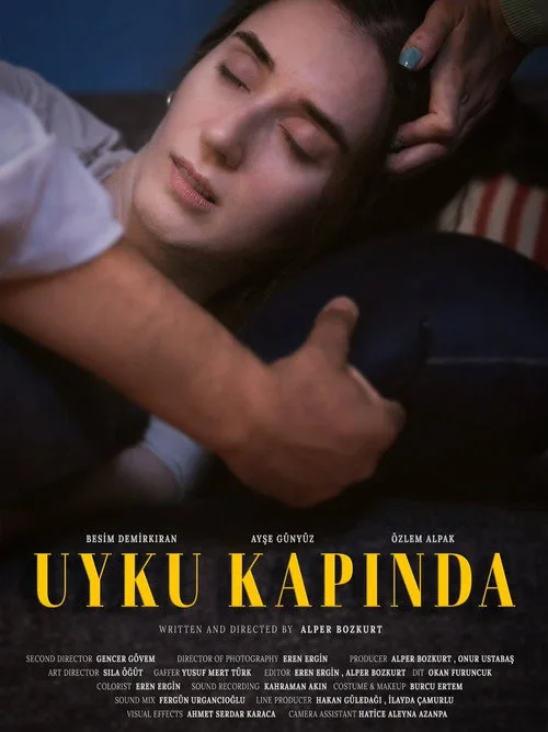 Knock Knock Sleep film posteri