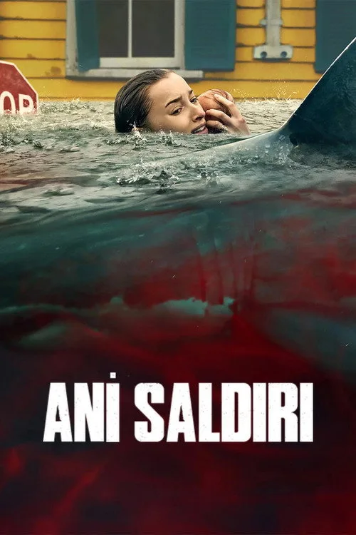 Ani Saldırı film posteri