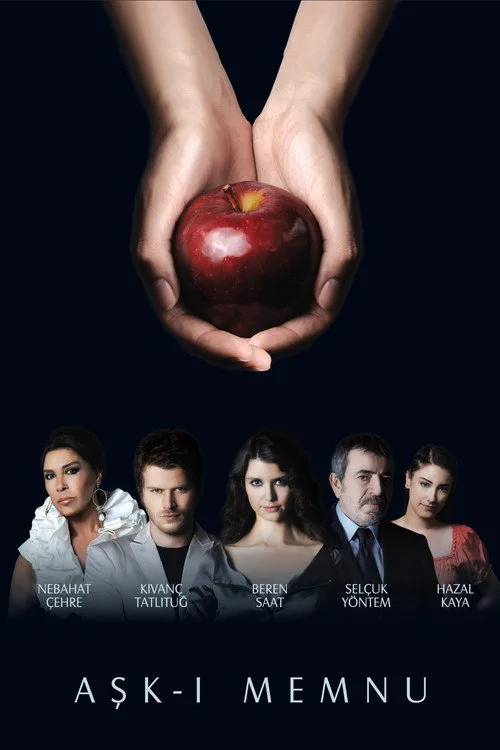 Aşk-ı Memnu dizi posteri
