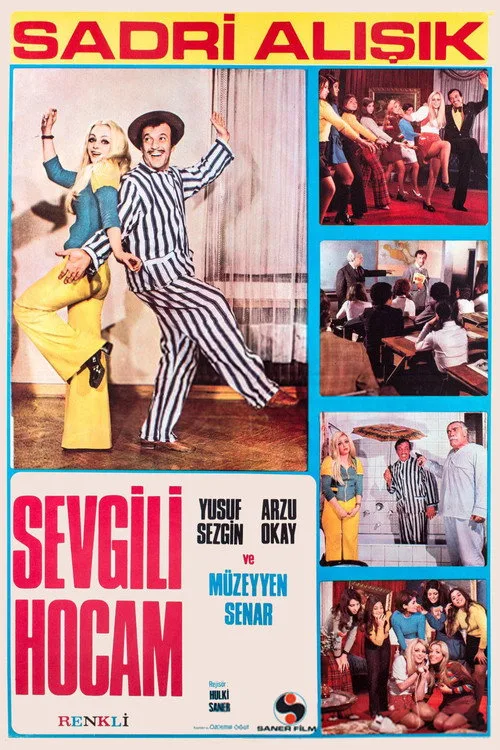 Sevgili Hocam film posteri