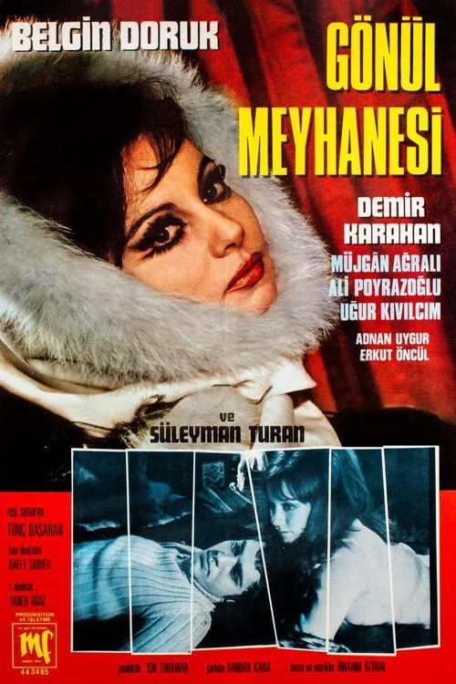 Gönül Meyhanesi film posteri