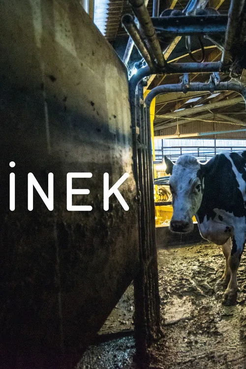 İnek film posteri