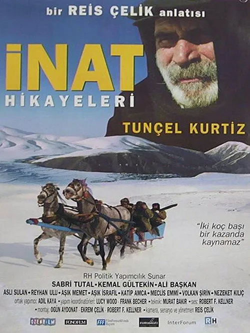 İnat Hikayeleri film posteri