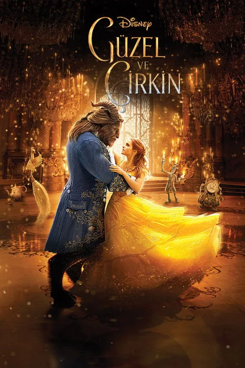 Güzel ve Çirkin film posteri