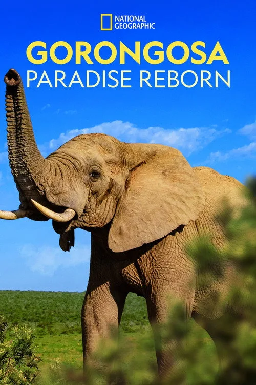 Gorongosa: Yeniden Doğan Cennet film posteri
