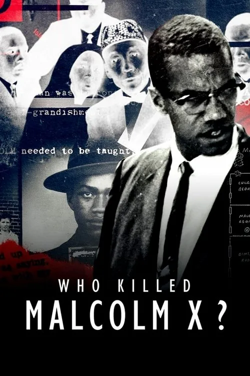 Who Killed Malcolm X? dizi posteri