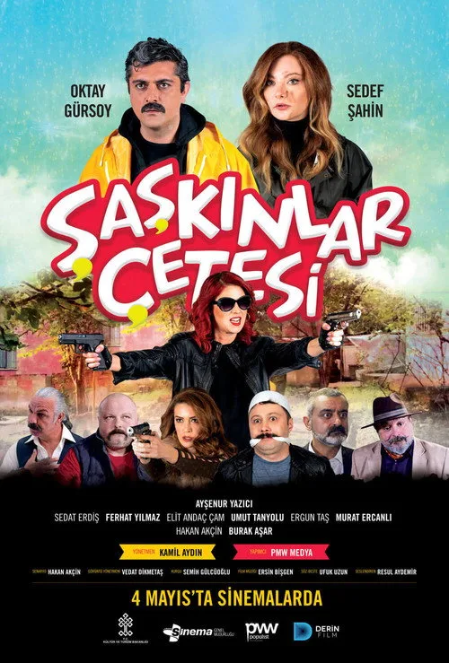 Şaşkınlar Çetesi film posteri