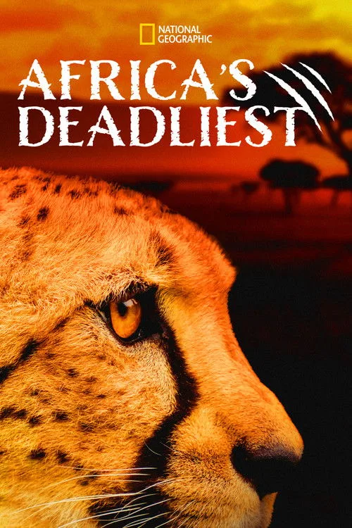 Afrika'nın Avcıları dizi posteri