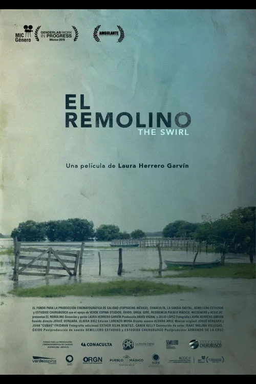 El Remolino film posteri