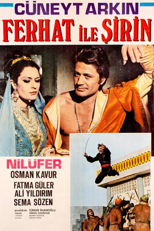 Ferhat ile Şirin film posteri