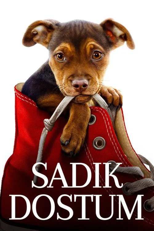 Sadık Dostum film posteri