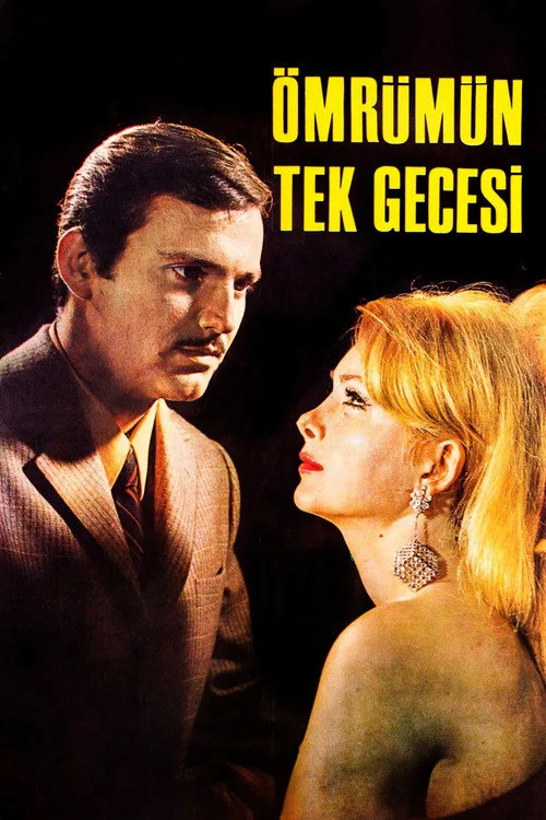 Ömrümün Tek Gecesi film posteri