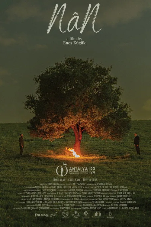 NâN film posteri