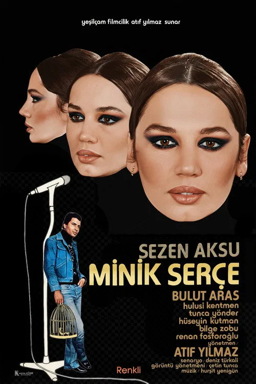 Minik Serçe film posteri