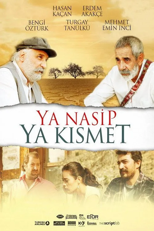 Ya Nasip Ya Kısmet film posteri