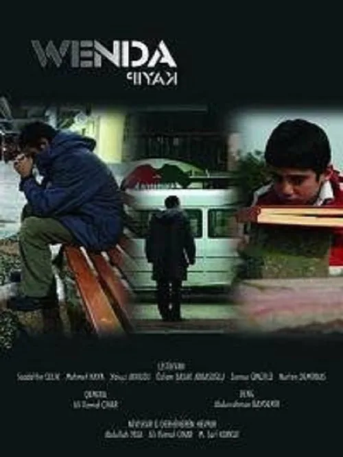 Kayıp film posteri