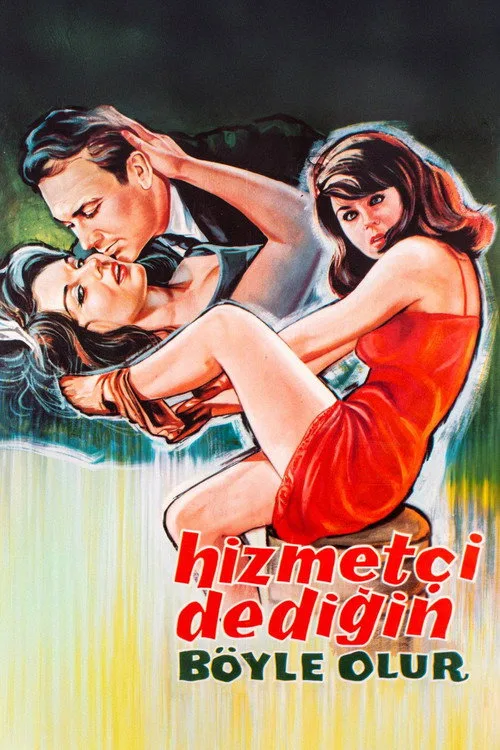 Hizmetçi Dediğin Böyle Olur film posteri