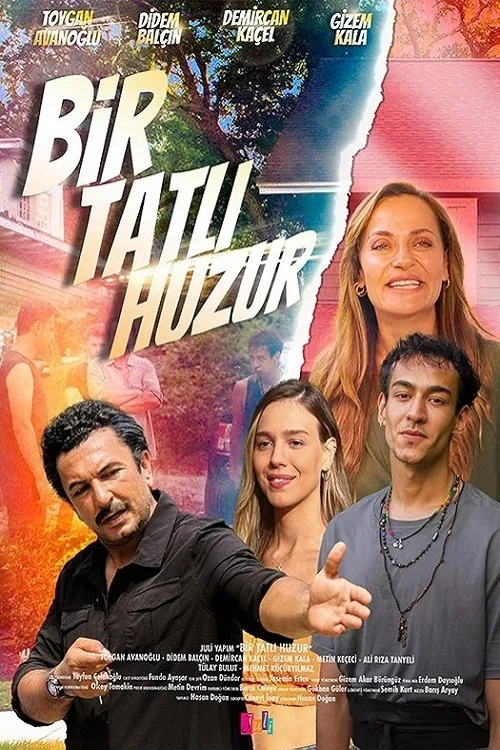 Bir Tatlı Huzur film posteri