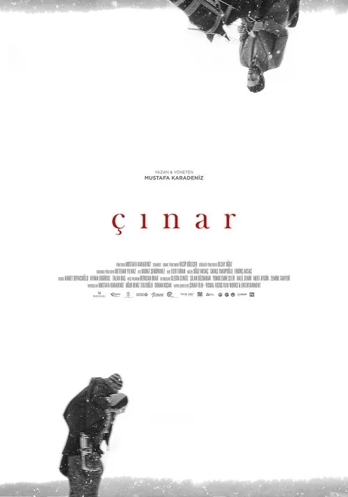 Çınar film posteri
