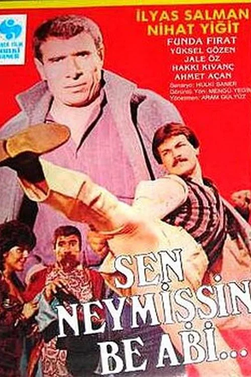 Sen Neymişsin Be Abi film posteri